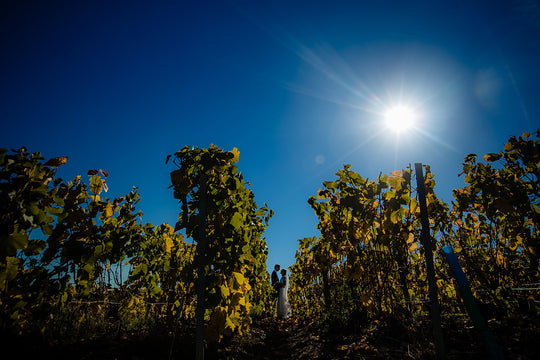 Trouwen in de Champagnestreek